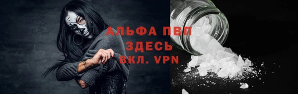 гидропоника Бородино
