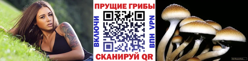 Галлюциногенные грибы ЛСД  KRAKEN как войти  Ейск 