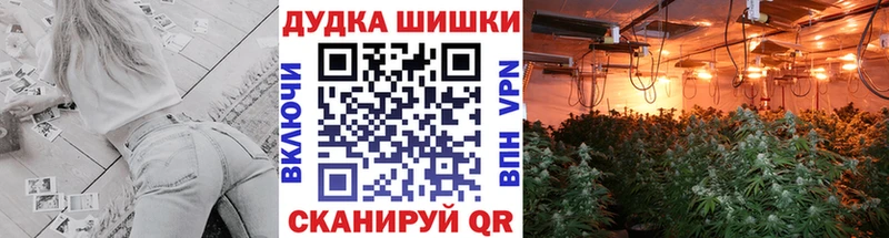 Марихуана ГИДРОПОН  продажа наркотиков  Ейск 